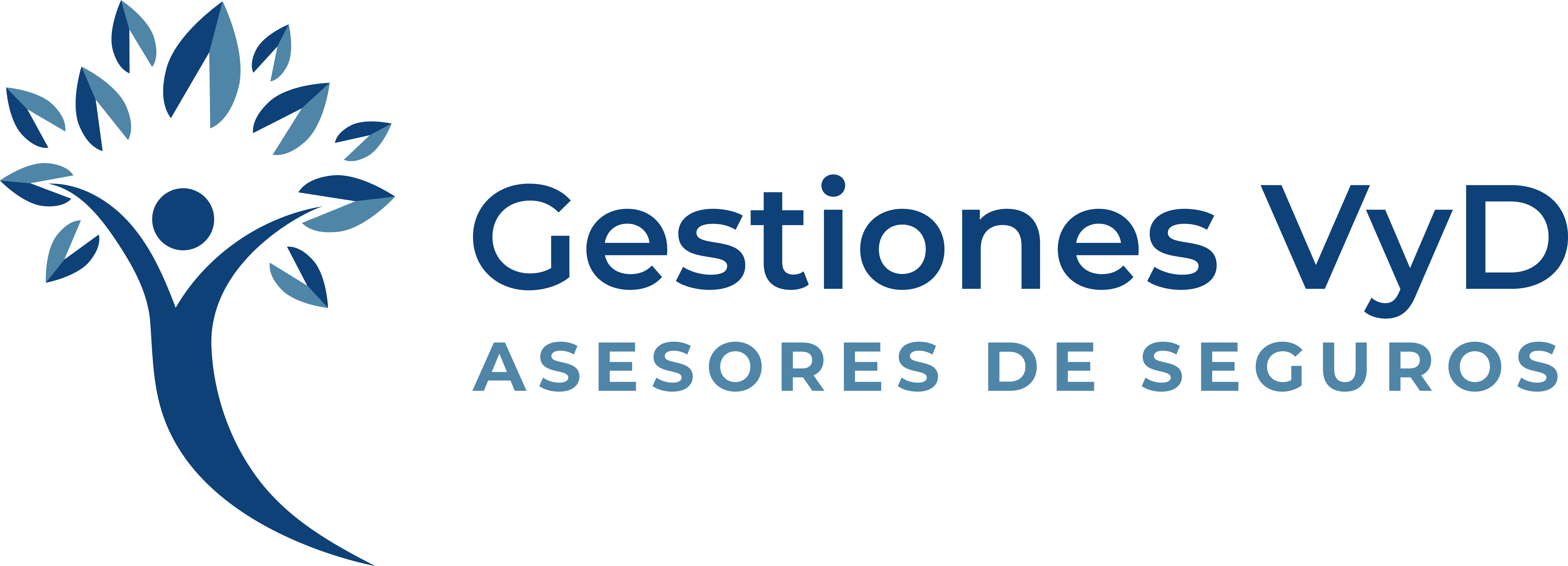 Gestiones VyD logo